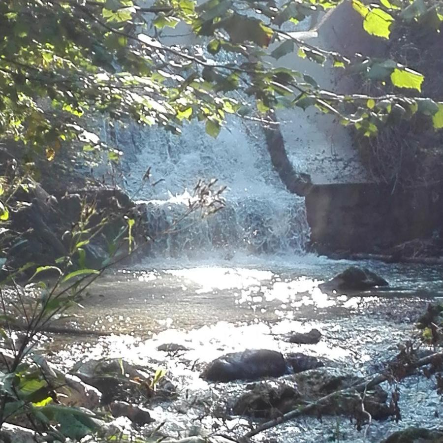 Appartamento Buehlhaeusl Grünau im Almtal Esterno foto