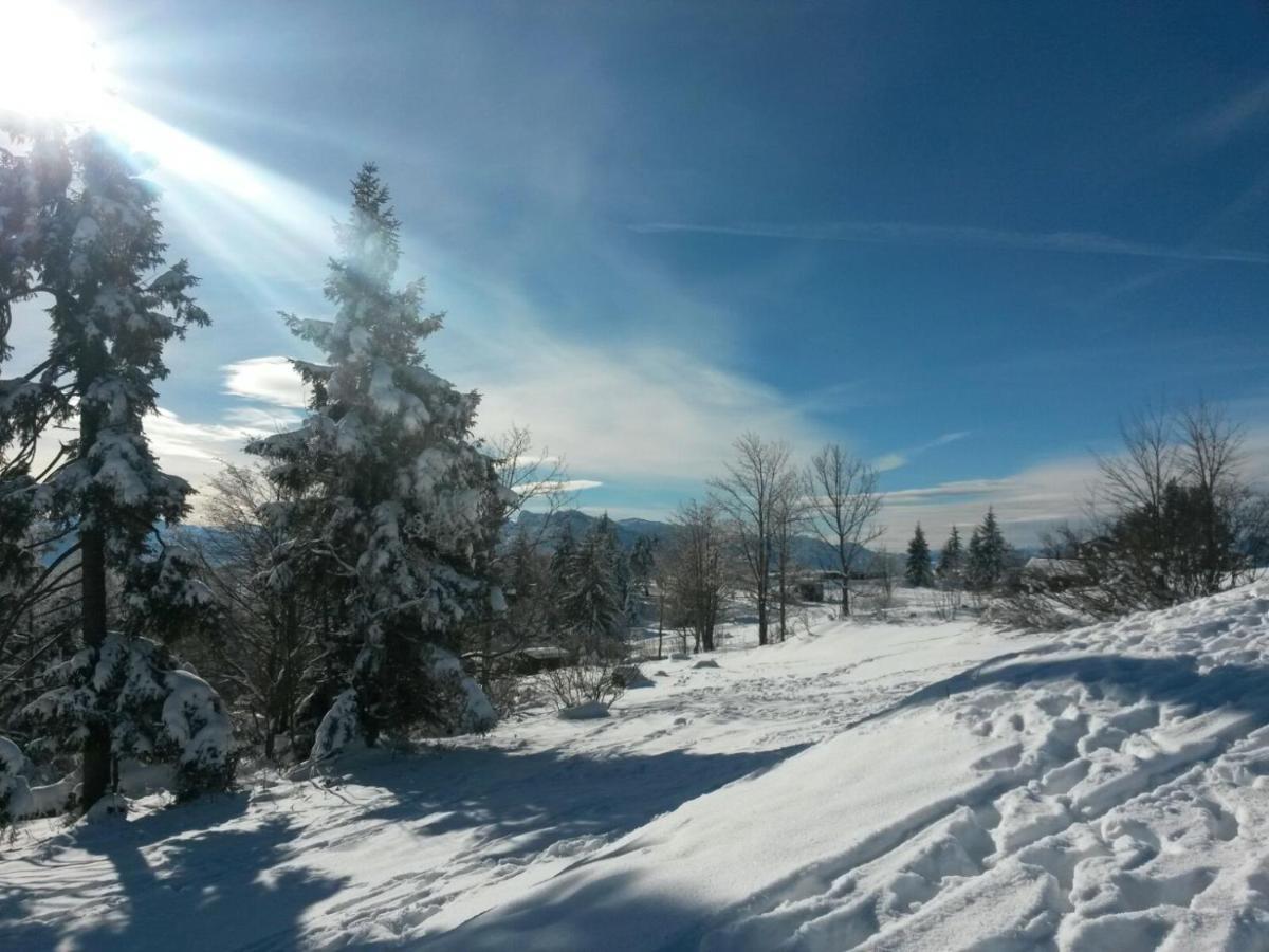 Appartamento Buehlhaeusl Grünau im Almtal Esterno foto